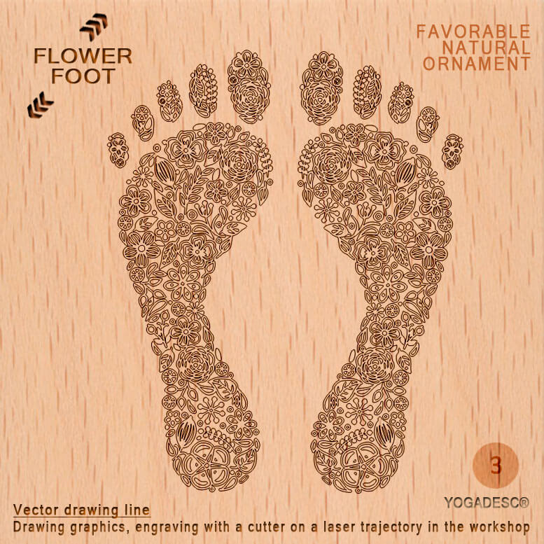 Drawing the "FLOWER of the FOOT»
